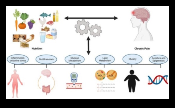 Protein ve Kronik Ağrı: Kapsamlı Bir Yaklaşım